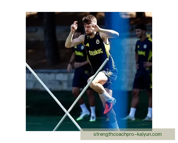 费内巴切战术调整