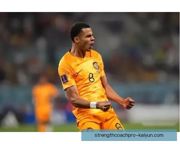 雷吉纳锋线近期表现稳健，引发外界的广泛关注与期待