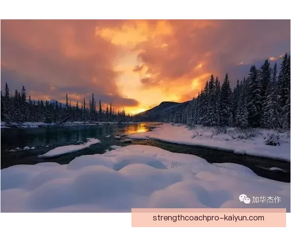 西布朗队长持续提升领导力，助球队在联赛中争取佳绩